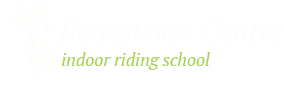 logo_h5.png